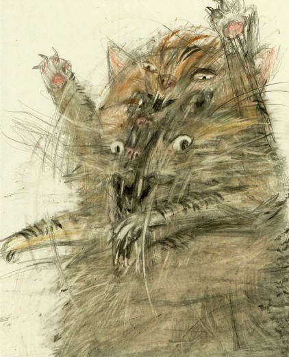 Il·lustració d'un gat tigrat que esgarrapa.